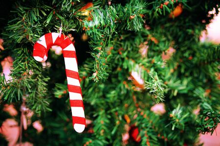 Decorating Christmas tree close up. Decoration green fir tree, golden red christmas cane toys and lights. Use for Christmas and New years.の写真素材