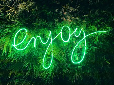LED sign Enjoy. Live neon sign on the leaves wall background.の写真素材