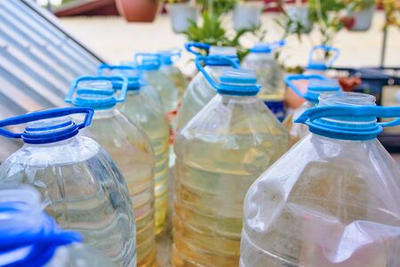 Plastic bottles with water for watering plants. Plastic bottles with water for watering plants in the gardenの写真素材