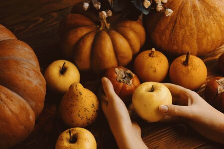 A bunch of pumpkins and apples. Harvest or Thanksgiving background with autumnal fruits and gourds on rustic wooden table.の写真素材
