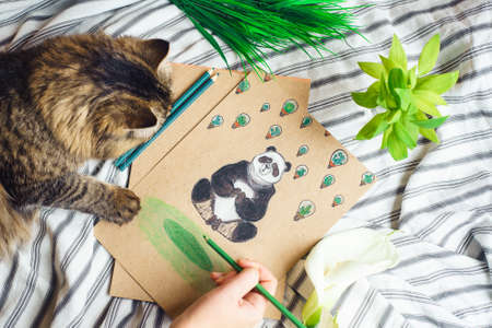 Painting concept. Woman draws a Picture of a Panda on a cot among flowers with cat. Bishkek, Kyrgyzstan - March 28, 2018のeditorial素材
