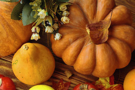 Bunch of pumpkins, leaves and flowers. Thanksgiving Day Background. Autumn Thanksgiving Pumpkins...