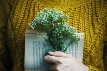 Wildflowers in womans hand on background of open book and knitted sweater. Girl with book and bouquet. Romantic concept. Close up.の写真素材