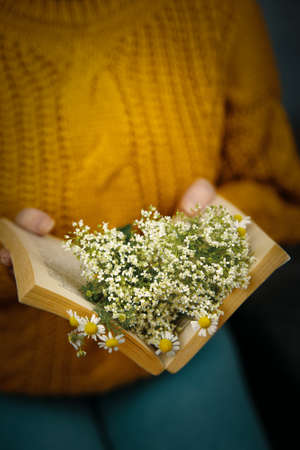 Woman sits with bouquet of wildflowers in open book. Daisies on pages of book. Girl in warm knitted...