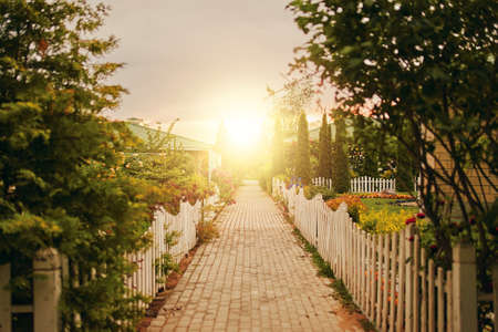 Sidewalk between cottages and gardens to rising sun. Small fences around road. Summer landscape....