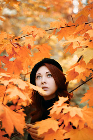 Pretty woman in park among the leaves. Autumn romantic portrait of a red-haired woman. Nature of the forest. Walk in fall Park.の写真素材