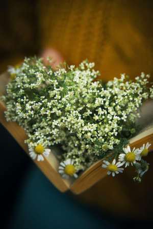 Open book with bouquet of daisies inside. Woman in knitted sweater and jeans on background. Book...