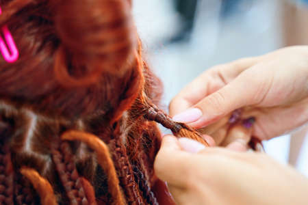 Close up of braiding process african plaits with colored kanekalon. Hairdresser weaves woman ginger dreadlocks. Bright pigtails on head. Hippie style hairstyle. Beauty salon services.の写真素材