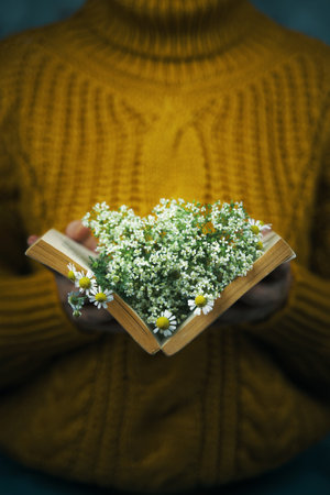 Woman in knitted cozy yellow sweater holds book with daisies inside. Bouquet of wildflowers in open book. Female hand with object. Concept of romance and spring.の写真素材