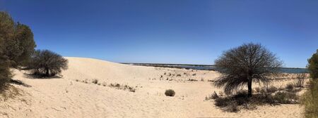 Punta Umbria Beach Dune Sniffsの写真素材