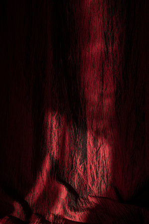 Detail of a beautiful red curtain in dim light, black reflections on the drapery. Gothic decoration, for a background or poster.の写真素材