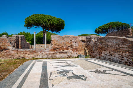Rome Ostia Antica ,. Ancient Roman ruins detail of a mosaic floor in Ostia archaeological park in summer with blue sky and maritime pines. Italy.のeditorial素材