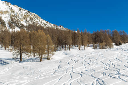 Snowy landscape of Livignoの写真素材