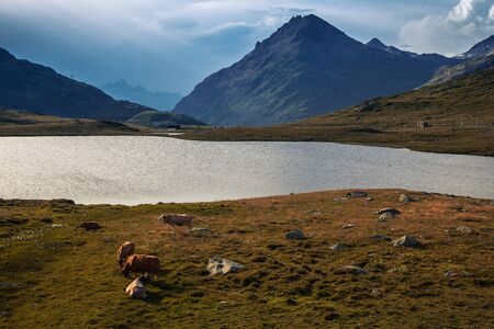 Mountain landscape naturalの写真素材