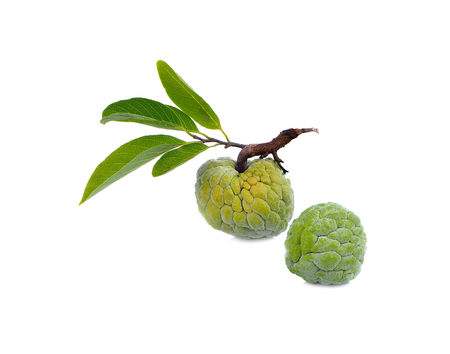 custard apple isolated on white background.の写真素材