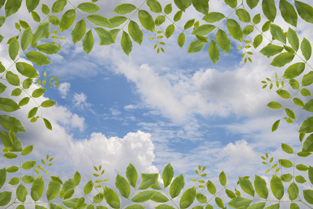 Tree, clouds and skyの写真素材