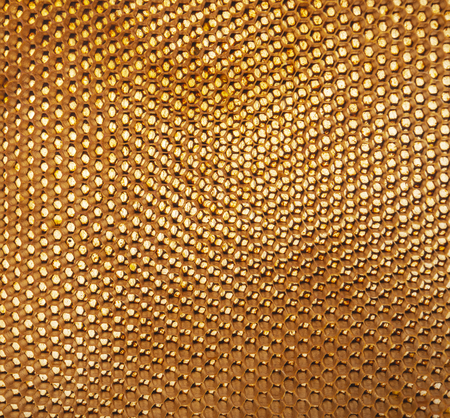 Background texture and pattern of a section of  honeycomb  in a full frame viewの写真素材