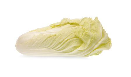 Fresh Chinese cabbage on white backgroundの写真素材