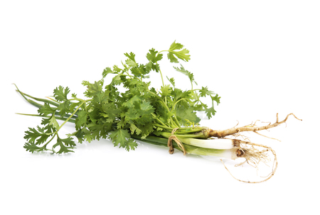 Spring onions and coriander on white backgroundの写真素材