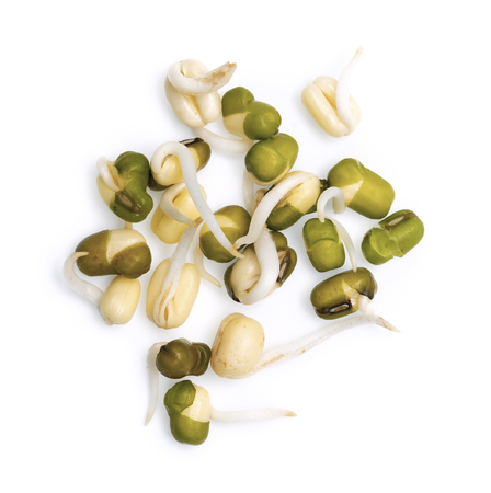 Healthy fresh sprouts separated on a white background, top view.の写真素材