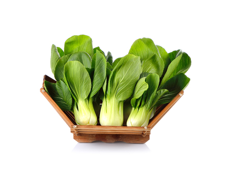 Pok Choi on white backgroundの写真素材