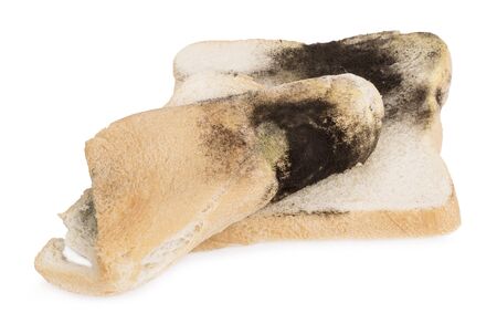 Mildew on a slice of bread. Stale bread on white background