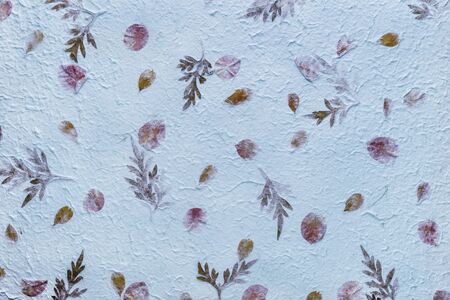 Blue mulberry paper with the texture of flowers and foliage is used as a background.の写真素材