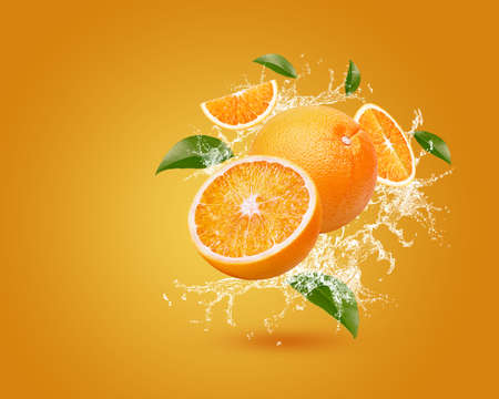 Water splash on fresh orange with leaves isolated on orange background.の写真素材