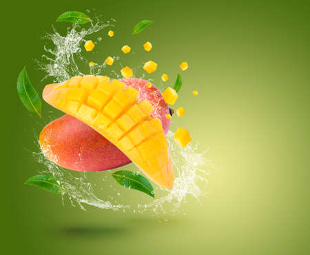 Water Splash on fresh mango with leaves Isolated on green Backgroundの写真素材
