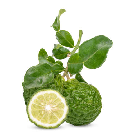 Fresh Begamot with leaves isolated on white backgroundの写真素材