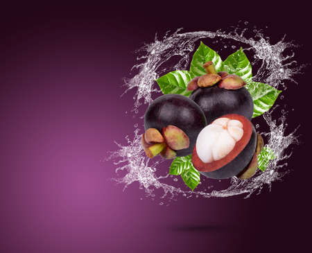 Water splash on fresh mangosteen with leaves isolated on purple backgroundの写真素材