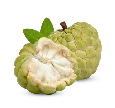 Custard apple isolated on white backgroundの写真素材