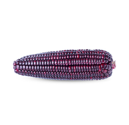 Siam Ruby, Queen or Thai red corn is sweet corn that can be eaten fresh and has a crispy sweet taste isolated on white backgroundの写真素材