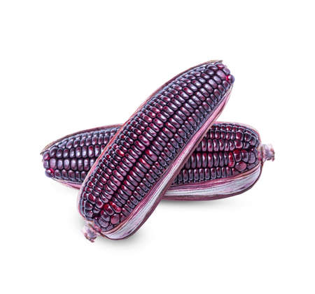 Siam Ruby, Queen or Thai red corn is sweet corn that can be eaten fresh and has a crispy sweet taste isolated on white backgroundの写真素材
