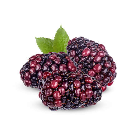 Fresh Blackberry with leaves isolated on white background