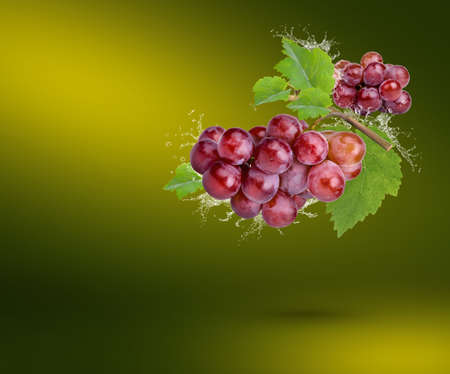 Water splash on fresh red grape with leaves isolated on green background.の写真素材