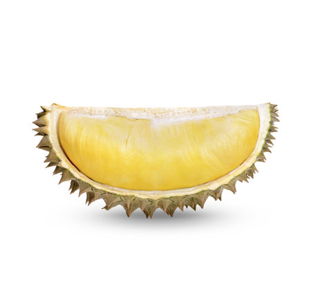 Ripe Durian Fruit isolated on white backgroundの写真素材