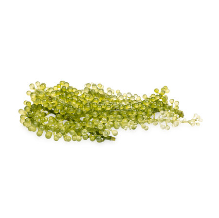 Seagrapes ( green caviar ) seaweed isolated  on white backgroundの写真素材