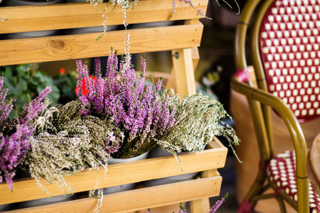 Decoration of the summer cafe area. Wooden tiered rack with flowers, cozy wooden furniture near the cafe.の写真素材
