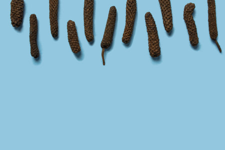 Dry Indian long pepper . Piper Longum ,Piper retrofractum, Pippali, Long pepper. Pattern texture background. Top view.の写真素材