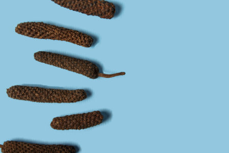 Dry Indian long pepper . Piper Longum ,Piper retrofractum, Pippali, Long pepper. Pattern texture background. Top view.の写真素材