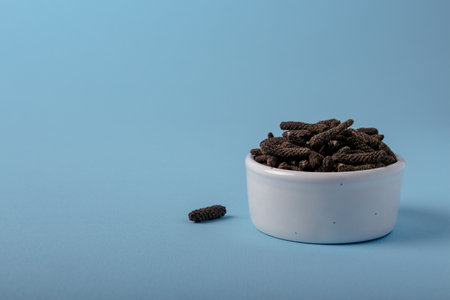 Dry Indian long pepper in white bowl. Piper Longum ,Piper retrofractum, Pippali, Long pepper. Herbal medicine.の写真素材