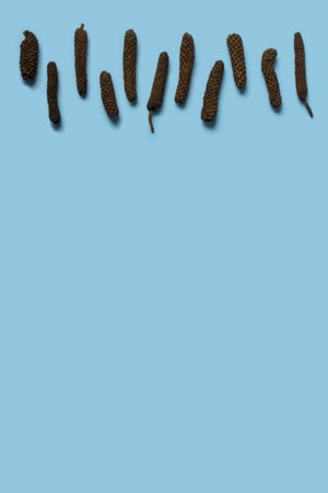 Dry Indian long pepper . Piper Longum ,Piper retrofractum, Pippali, Long pepper. Pattern texture background. Top view.の写真素材
