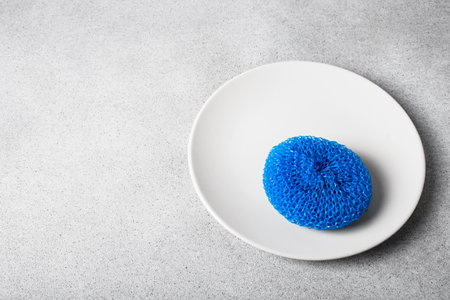 Colorful plastic scourer on a white plate on a light neutral background. Gentle dishwashing. house...