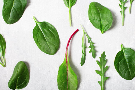 Pattern of salad mix leaves, arugula, spinach, chard on a gray background.