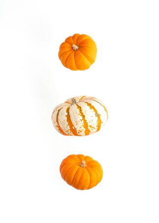 Flying pumpkin isolated on white background. Thanksgiving traditional bright orange pumpkin.の写真素材