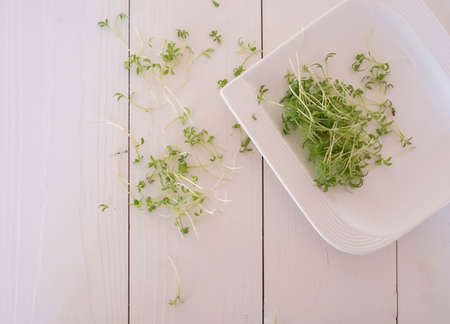 micro green watercress salad on white tableの写真素材
