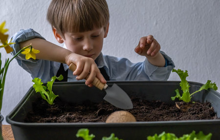 Cute kid boy caring for plants. Home gardeningの写真素材