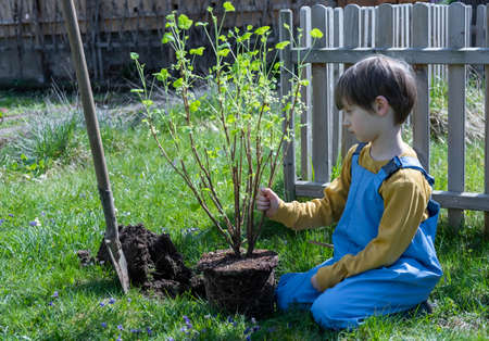 Little helper in the gardenの写真素材