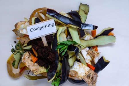 Ecological waste, food and household waste for making compostの写真素材